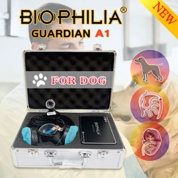 (Português) Biophilia Guardian Bioresonance Machine para cães, gatos e cavalos