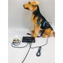 (Português) Biophilia Guardian Bioresonance Machine para cães, gatos e cavalos