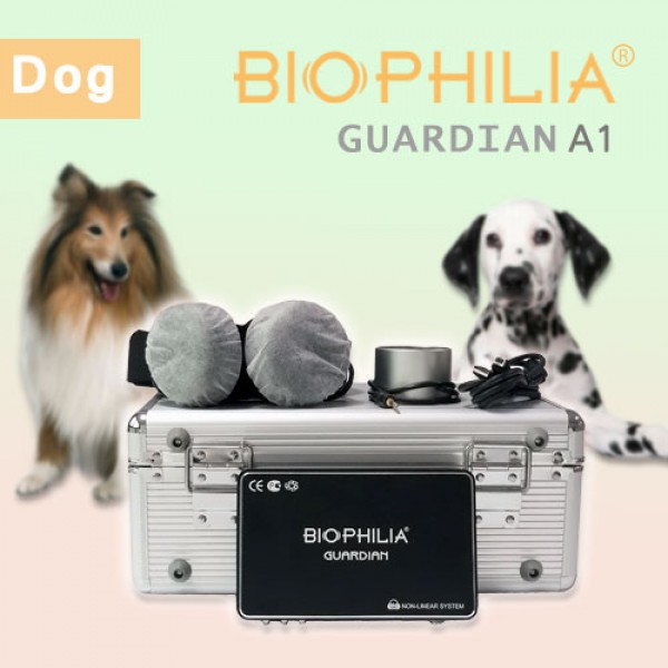 Biophilia Guardian A1 Diagnosis and Meta therapy for Dog
