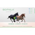 Biophilia Guardian A2 Diagnosis and Meta therapy for Horse