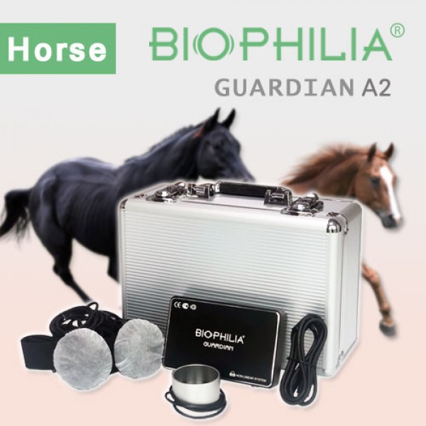 Biophilia Guardian A2 Diagnosis and Meta therapy for Horse