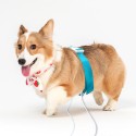 Quantum Pet Health Scanner for Dog and Cat